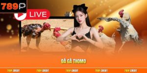 Đá gà Thomo