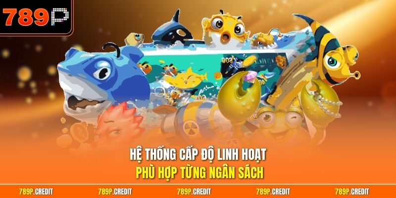 Hệ thống cấp độ linh hoạt phù hợp từng ngân sách